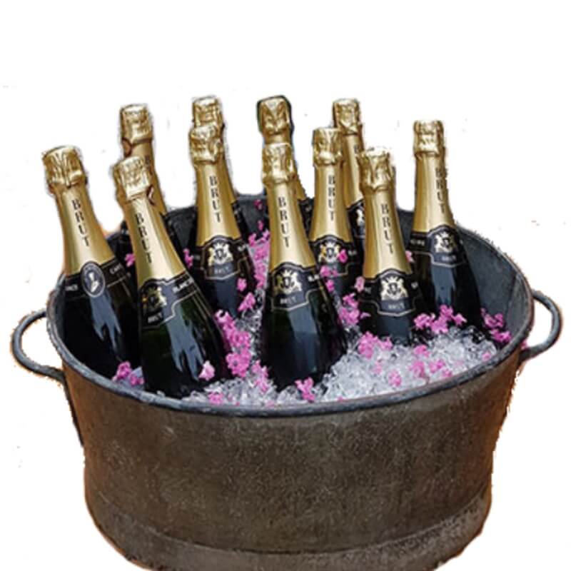 bassine-ferme-seau-champagne